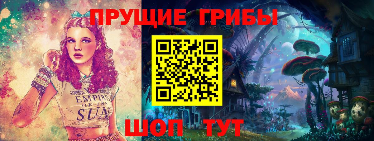 Псилоцибиновые грибы прущие грибы Истра