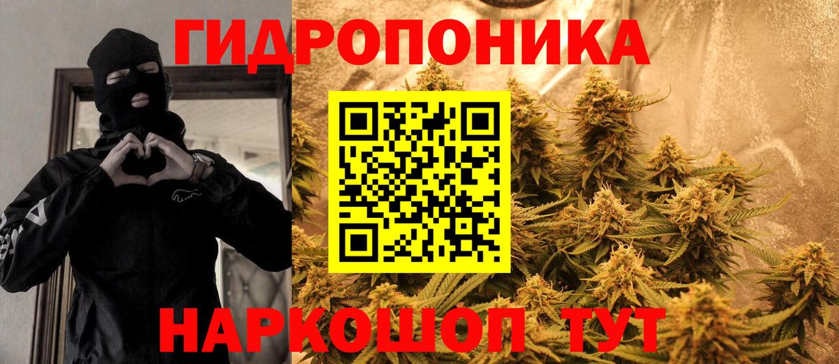 Шишки марихуана White Widow Истра
